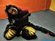 Cat Girl Bondaged