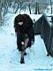 Madame on the Snow (in blue)