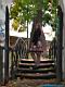Lolitas`s pleasure garden