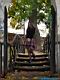 Lolitas`s pleasure garden